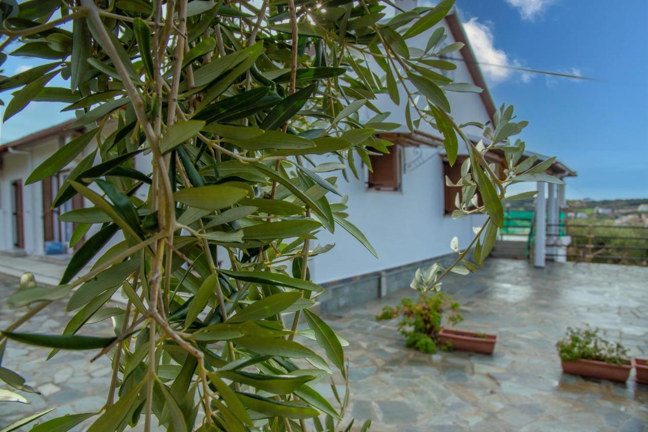Eleonas Holiday Home Apartment Agios Stefanos Avliotes  Екстериор снимка