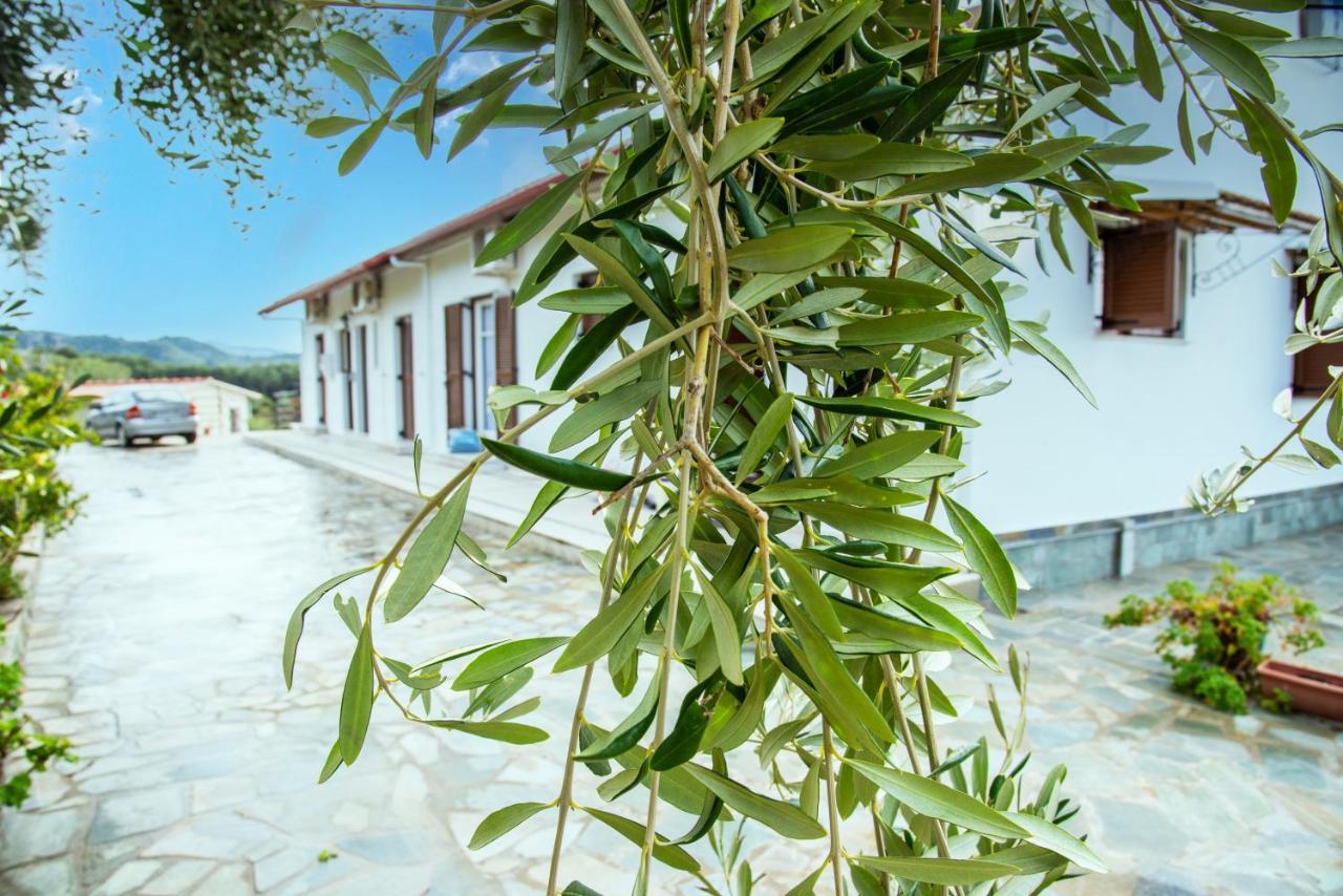 Eleonas Holiday Home Apartment Agios Stefanos Avliotes  Екстериор снимка